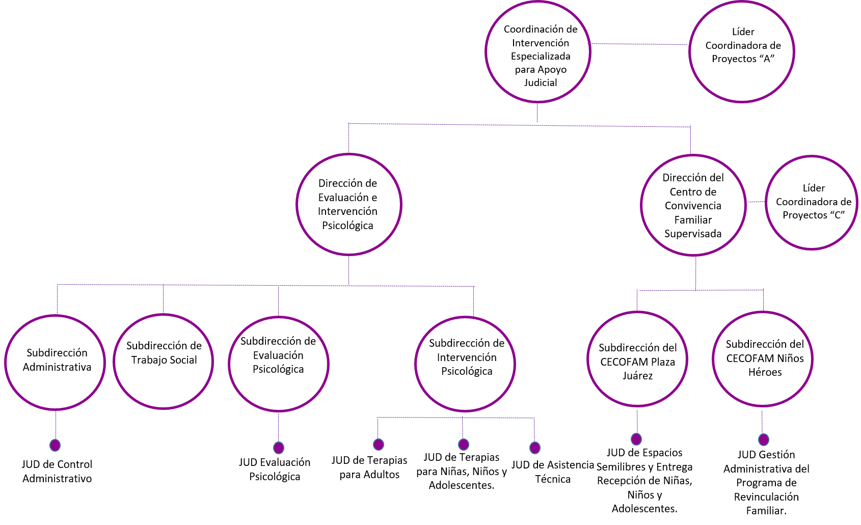 Organigrama – Coordinación de Intervención Especializada